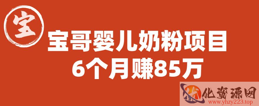 宝哥婴儿奶粉项目，6个月赚85w【图文非视频】【揭秘】