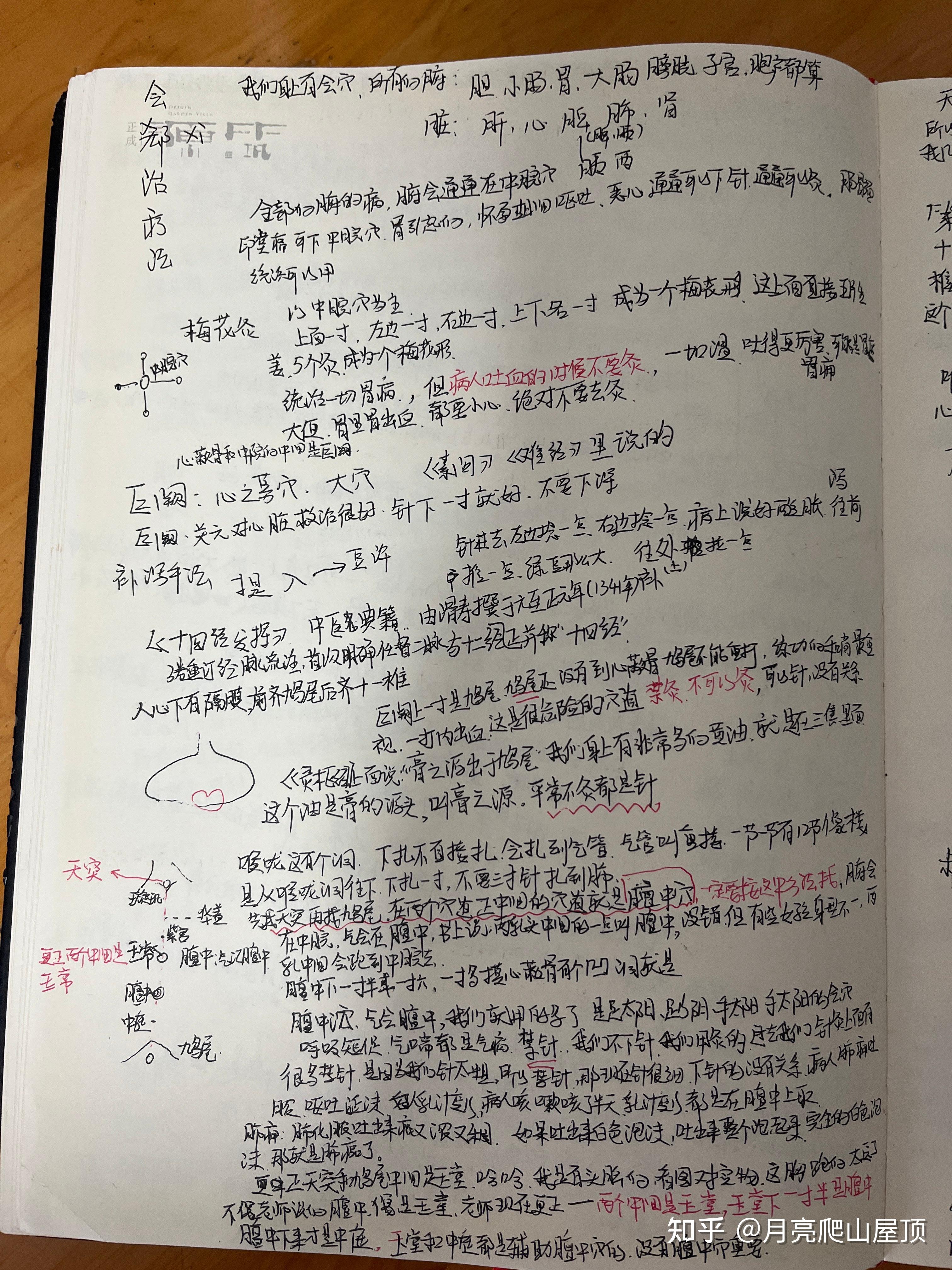 任脉穴位 - 知乎