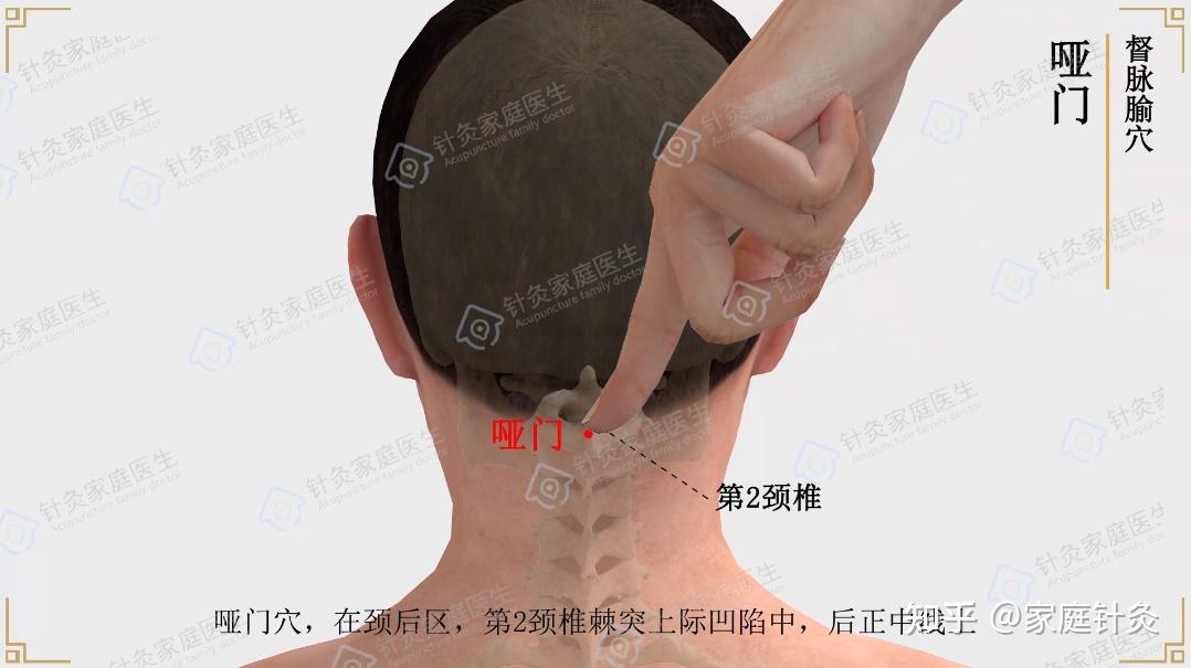 【穴以致用】哑门穴——疏风通络、开窍醒脑！ - 知乎