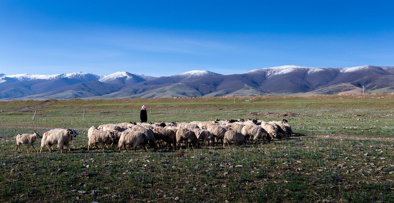 吴忠房价最新动态