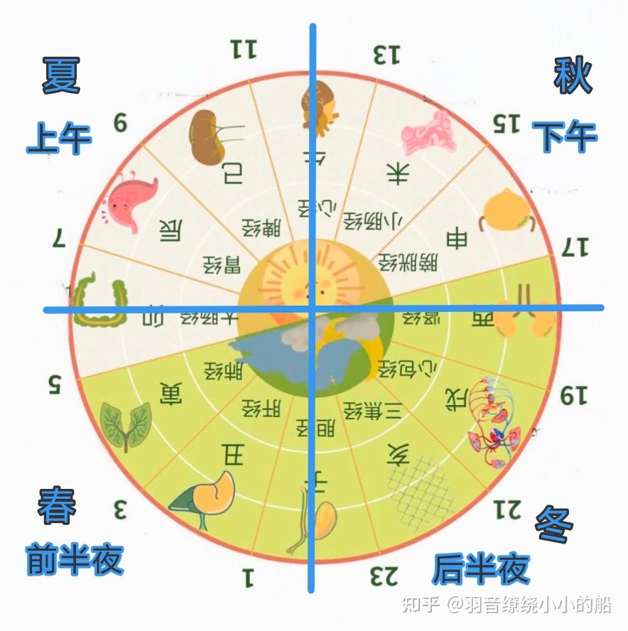 子时为体、寅时为用:《黄帝内经》中“胆”的时辰 - 知乎