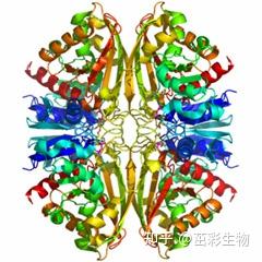 内参抗体 - 知乎