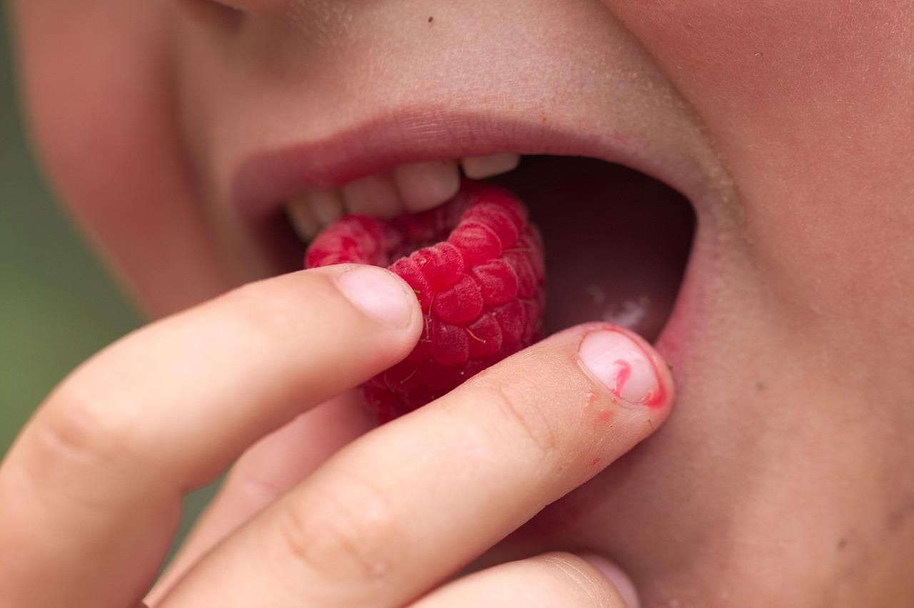 树莓是什么季节