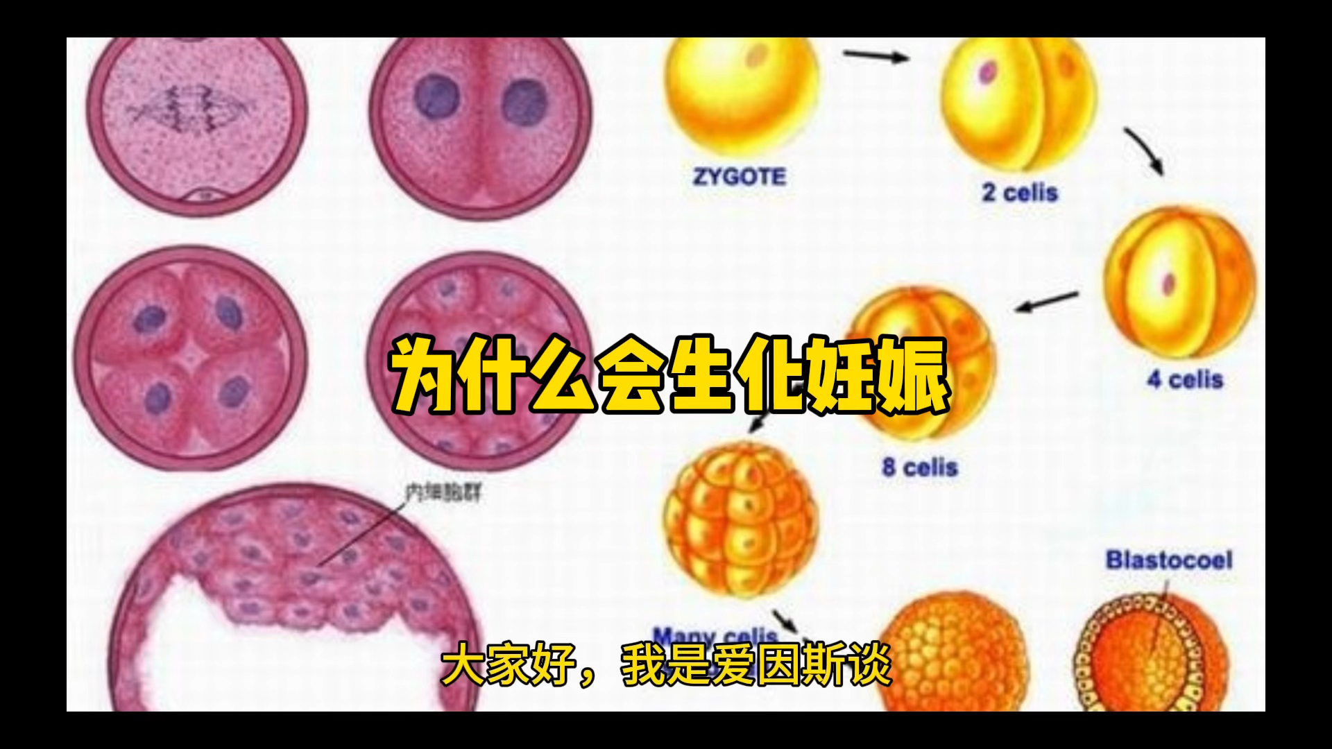 为什么会生化妊娠