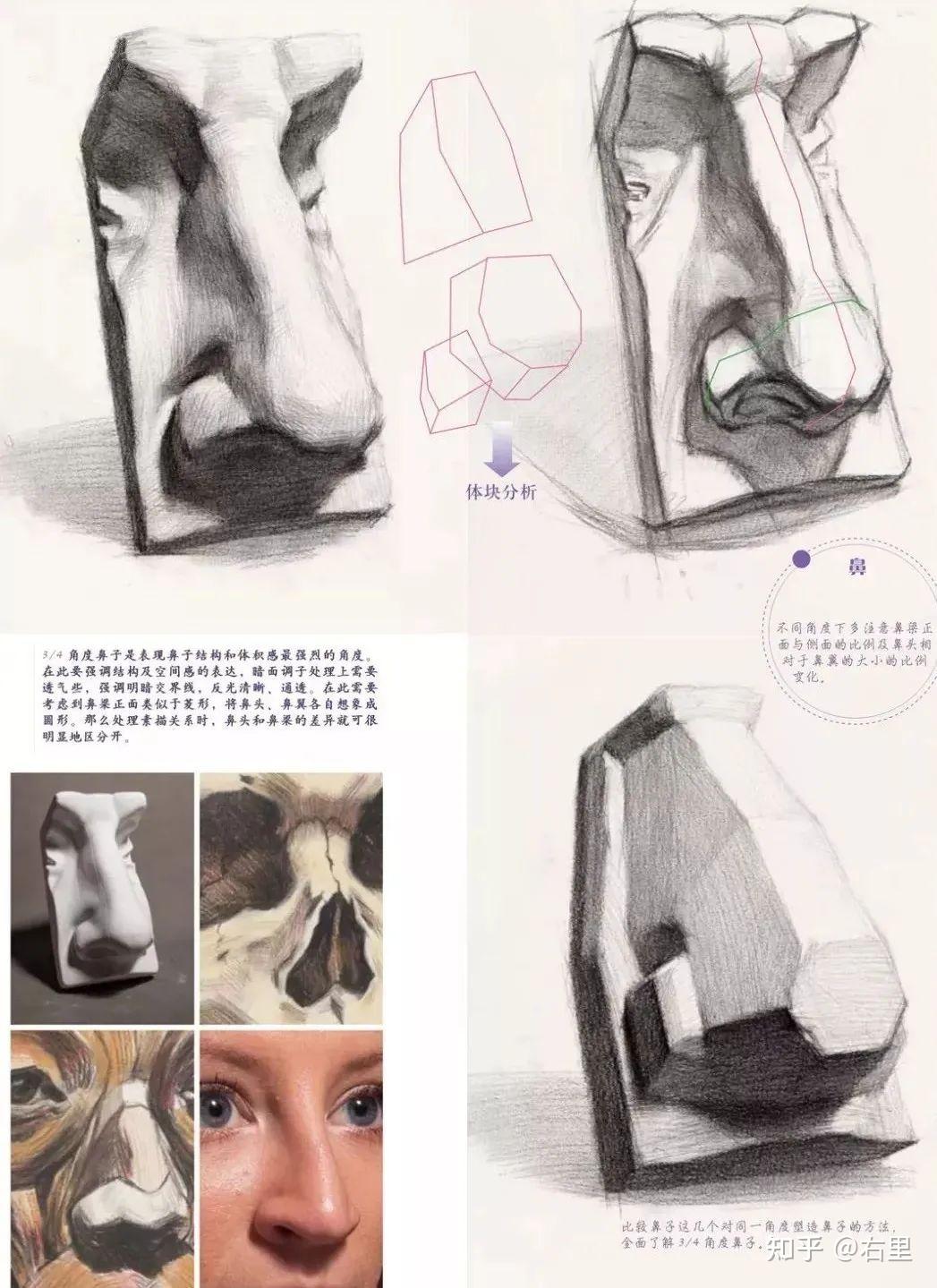 石膏鼻子素描画法步骤图片