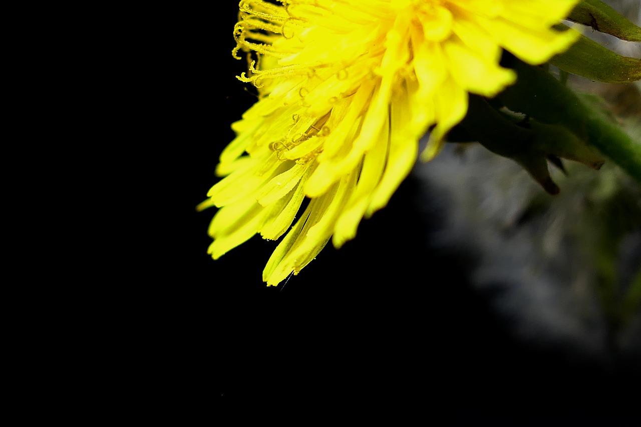 2. 轻盈飘逸的舞者