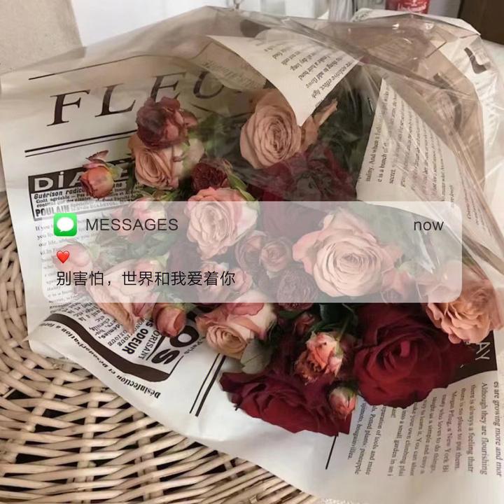 极致温柔的文案句子 - 知乎