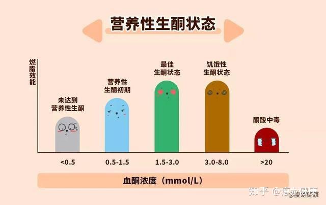 什么是酮体？我一直生酮，为什么酮体越来越低了？ - 知乎