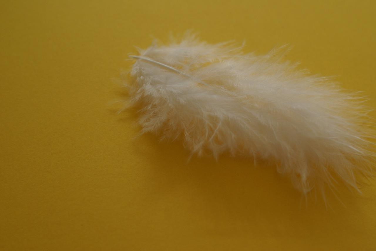 羽绒裤充绒多少