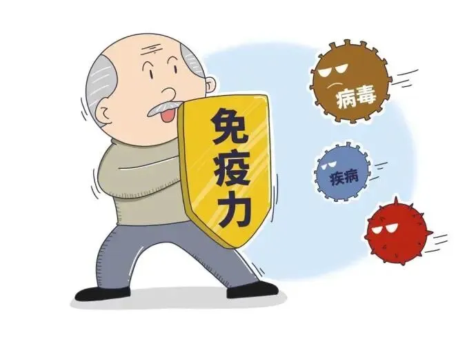 免疫力下降,回输免疫细胞才是硬道理! - 知乎