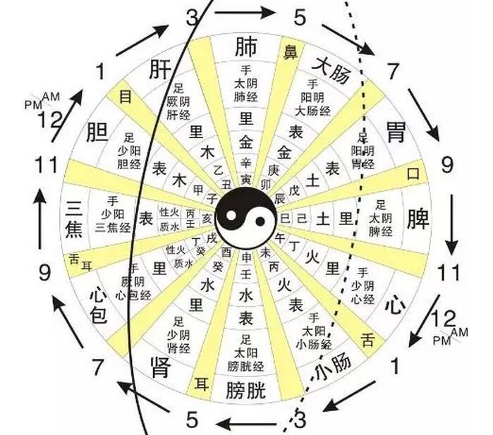 什么是周天?如何通大小周天_丹道周天与气功周天 - 知乎