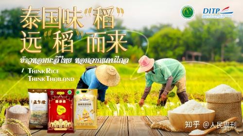 远“稻”味蕾之旅:泰国味“稻”在青岛 - 知乎