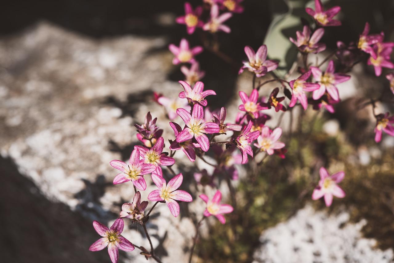 基础回填应如何计算