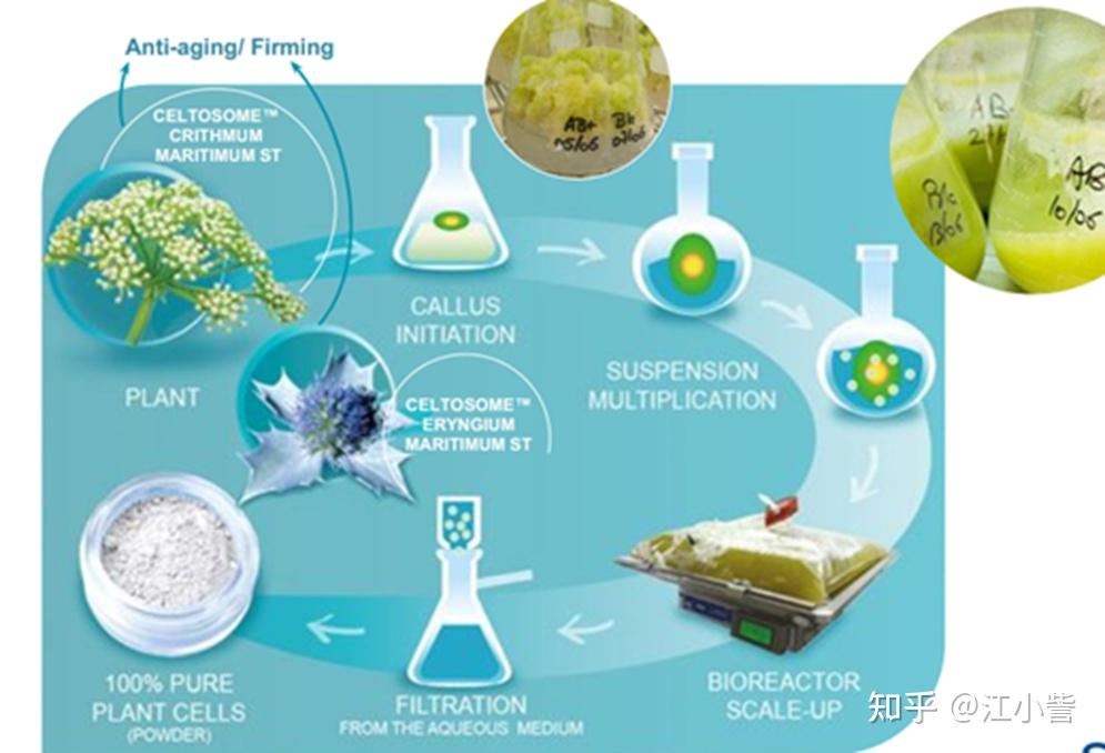 零跑汽车获得中国一汽约374亿元战略投资 每日速递