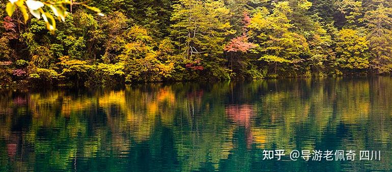 九寨沟五花海拥有怎样绝美的景色？ - 知乎