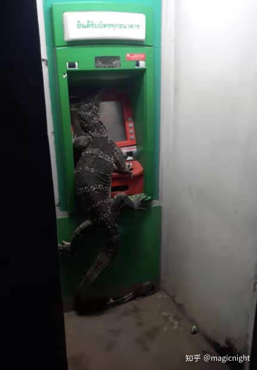 来泰国以后才知道的五十件事- 知乎