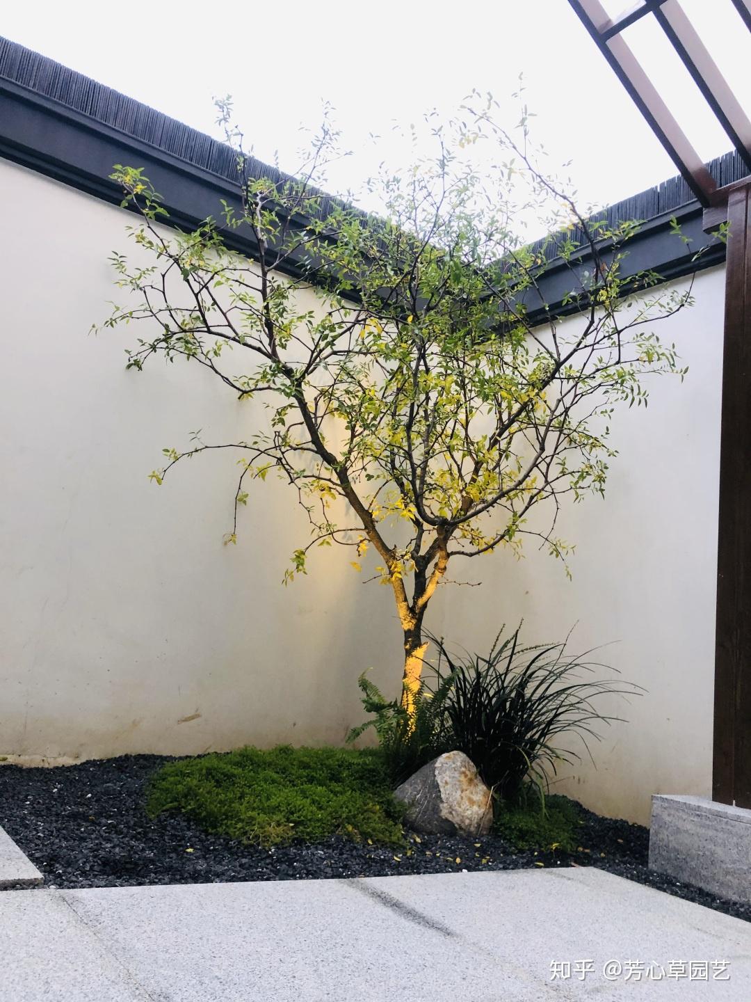 成都私家花园设计值得收藏,让人惊艳的现代风格 - 知乎