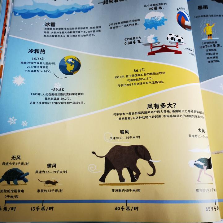 令人叹为观止的科普绘本,看了超涨知识