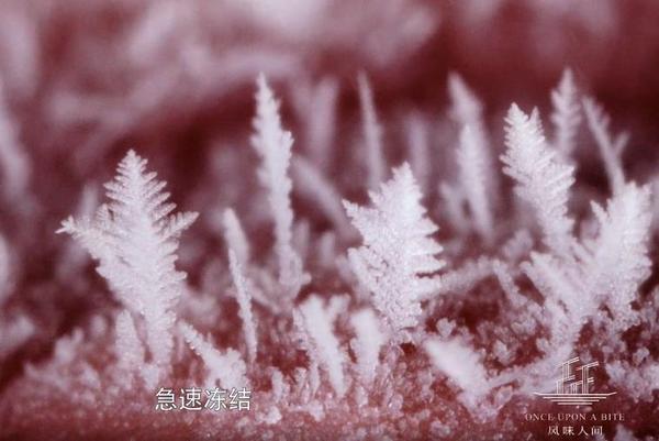 显微镜摄影:值得继续探索的趣味点