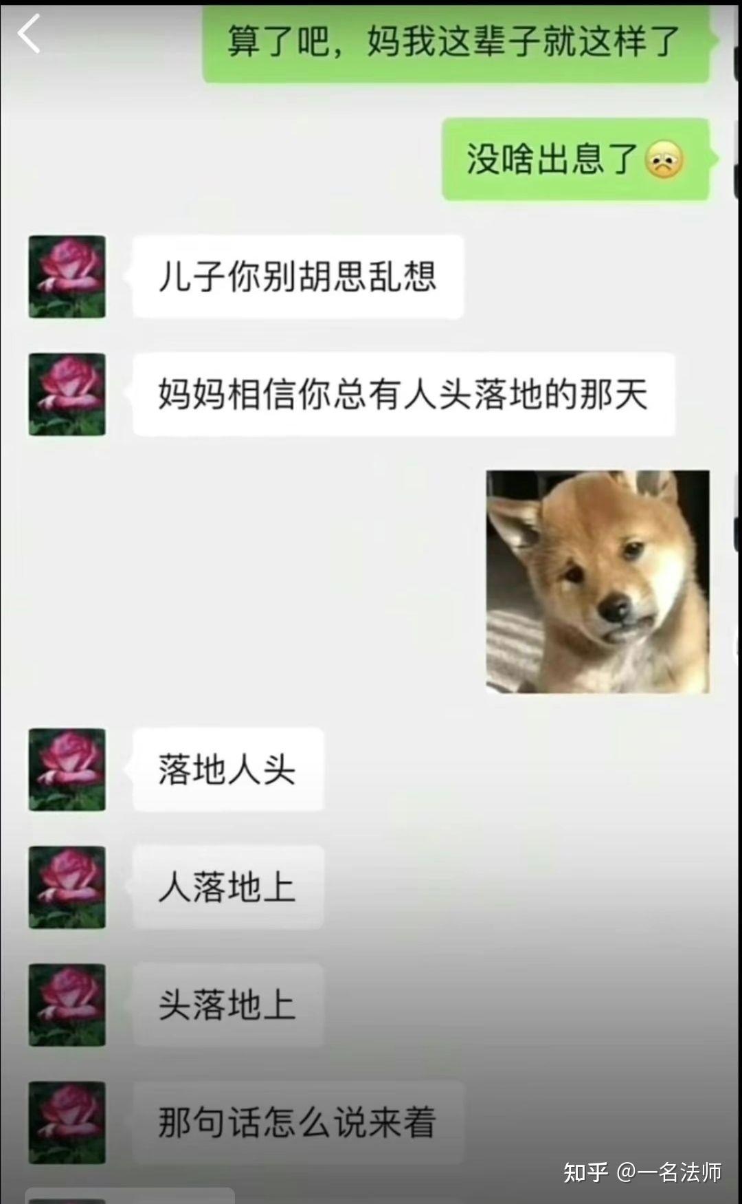 你知道哪些足够沙雕的段子