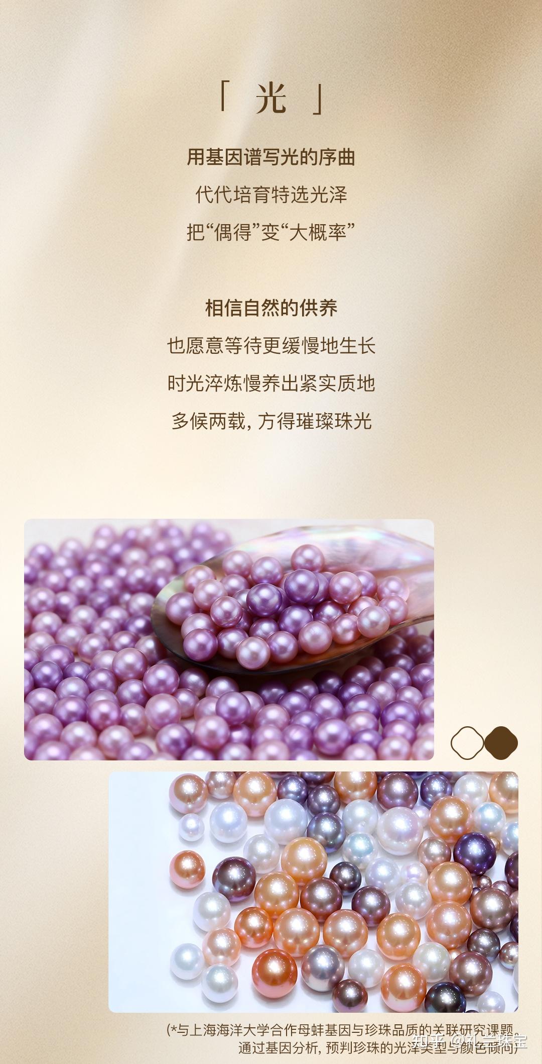 开蚌取珍珠:以五载光阴,致此刻璀璨 - 知乎