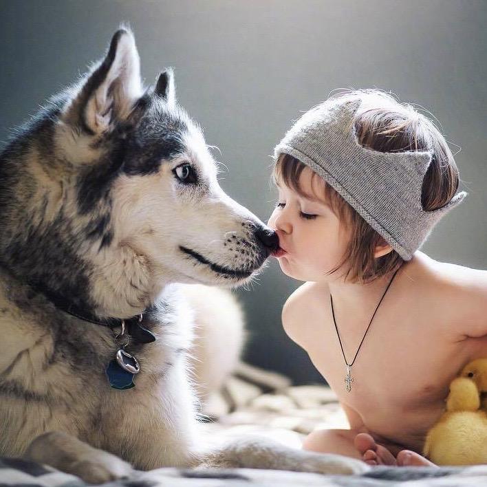 有没有可爱的狗狗头像? - 知乎