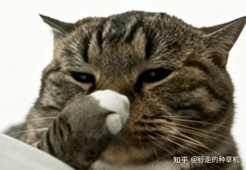 2026年洗烘套装黑马 | 一台顶三台:美的可爱多分区洗烘套装,是不是洗烘的终极答案?