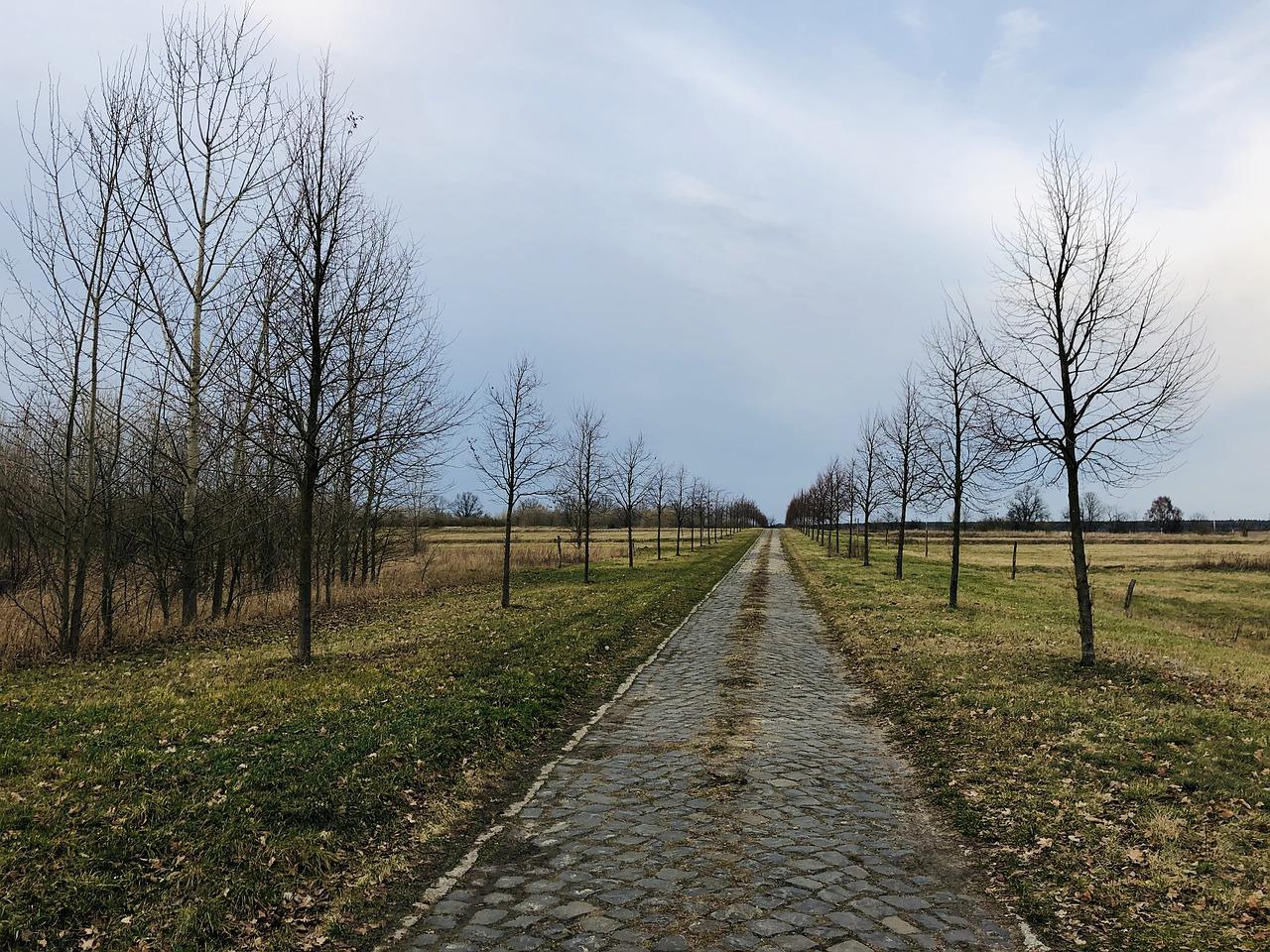 1. 繁华地段潜力