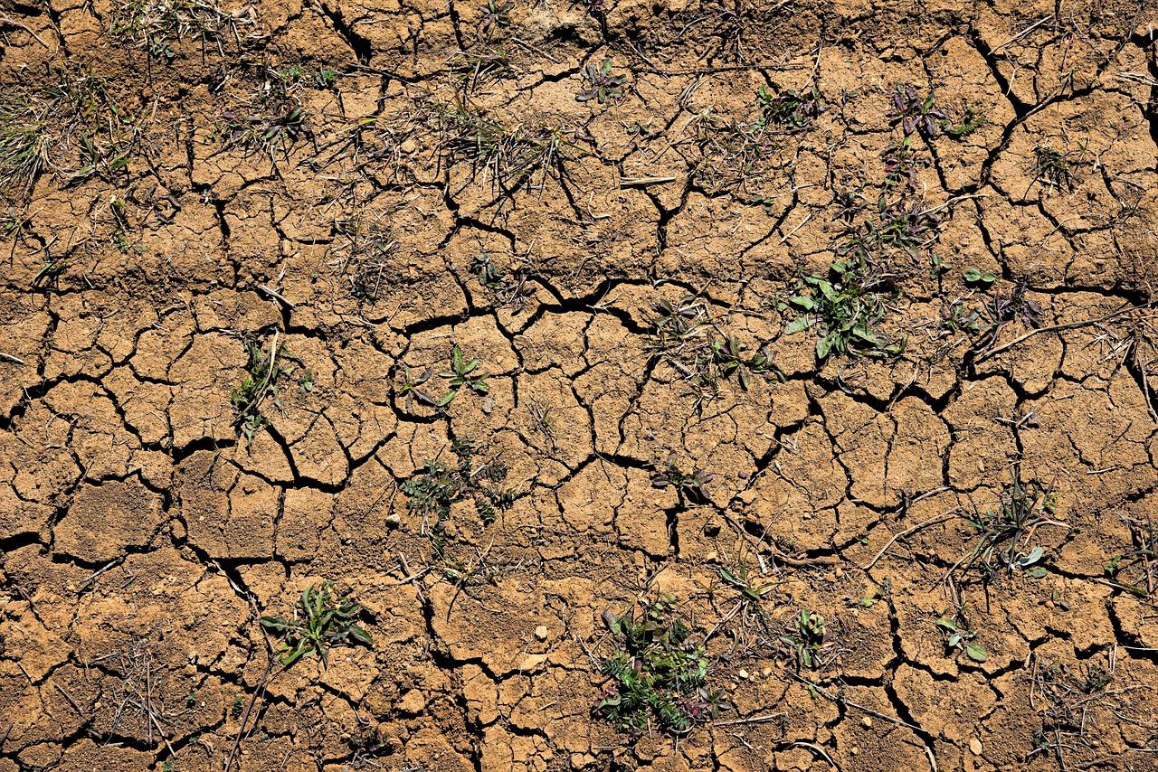 水污垢怎么去除方法