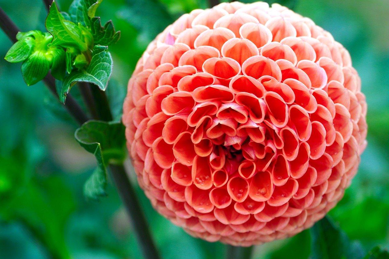 三亚海景房短期租赁