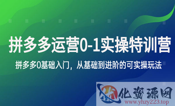 《拼多多0-1实操训练营》拼多多0基础入门，从基础到进阶的可实操玩法_wwz