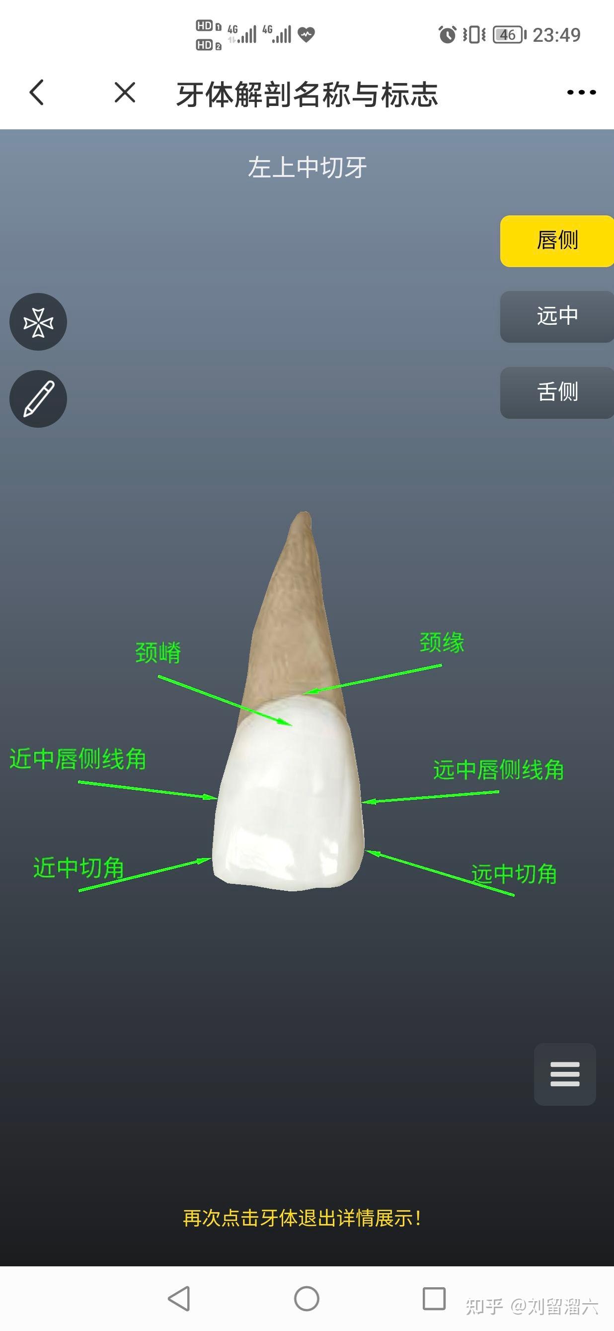 口腔解剖入门级(自己学习)牙体解剖 - 知乎