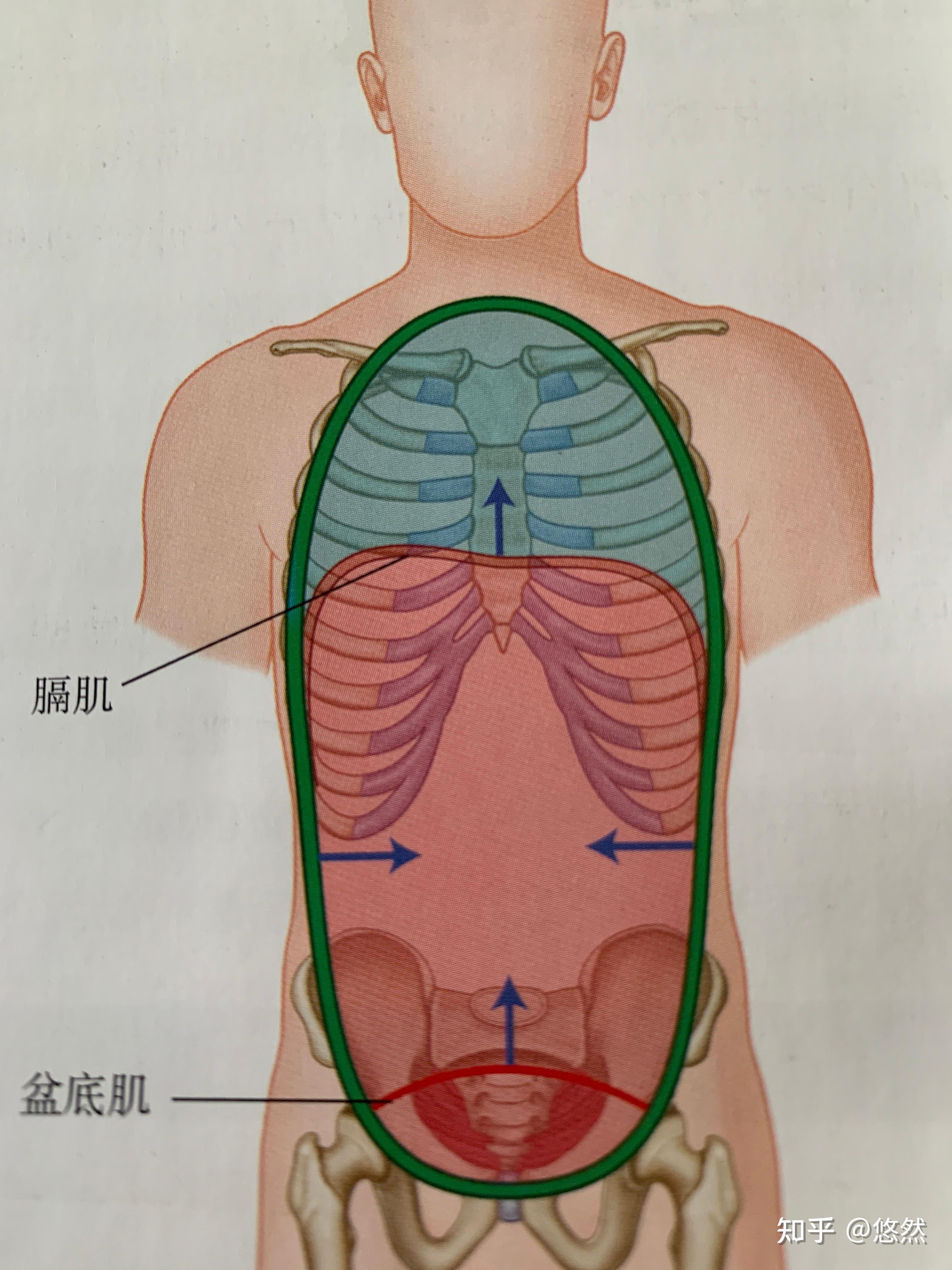 简易腹内压测量图片图片