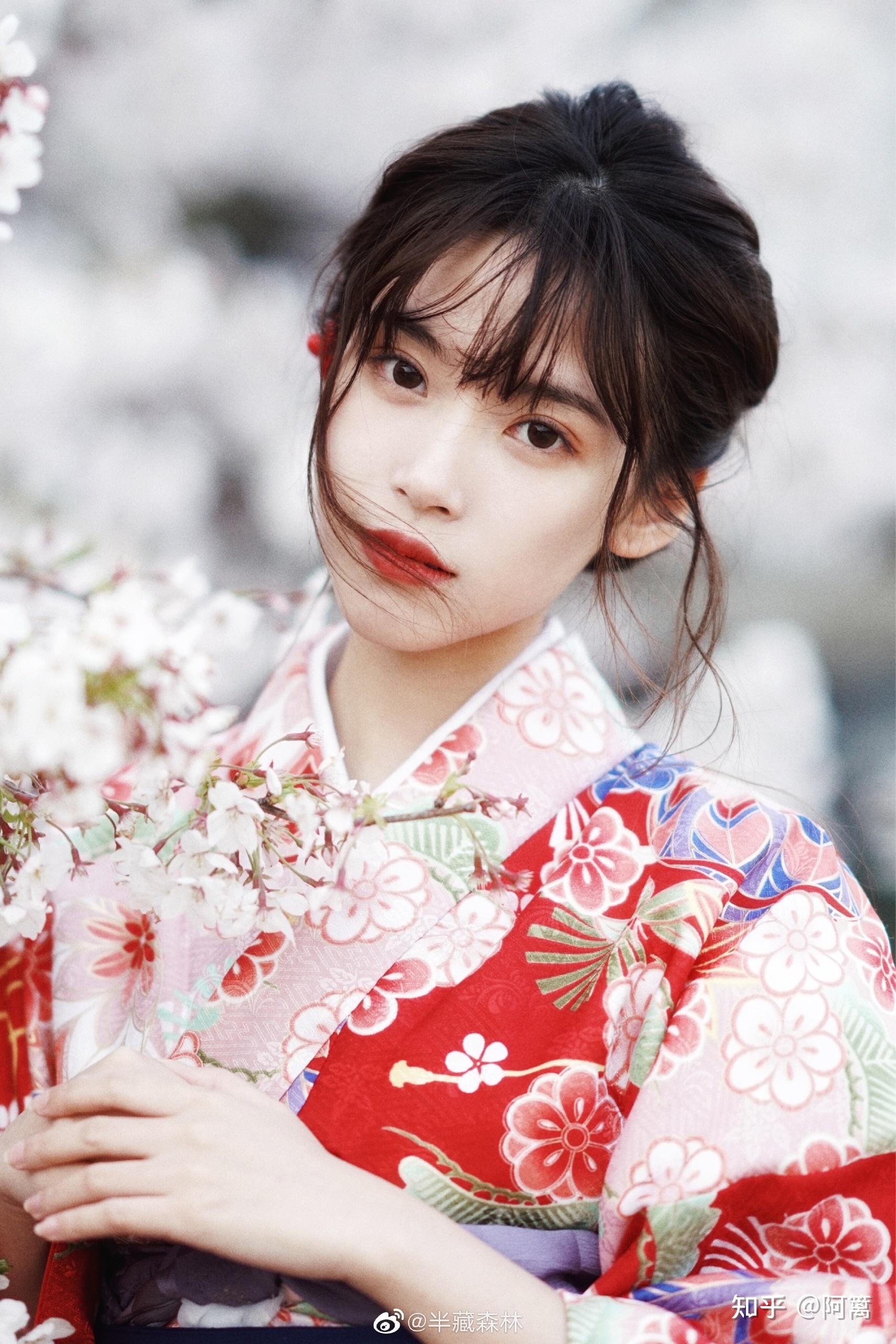 为什么你喜欢半藏森林