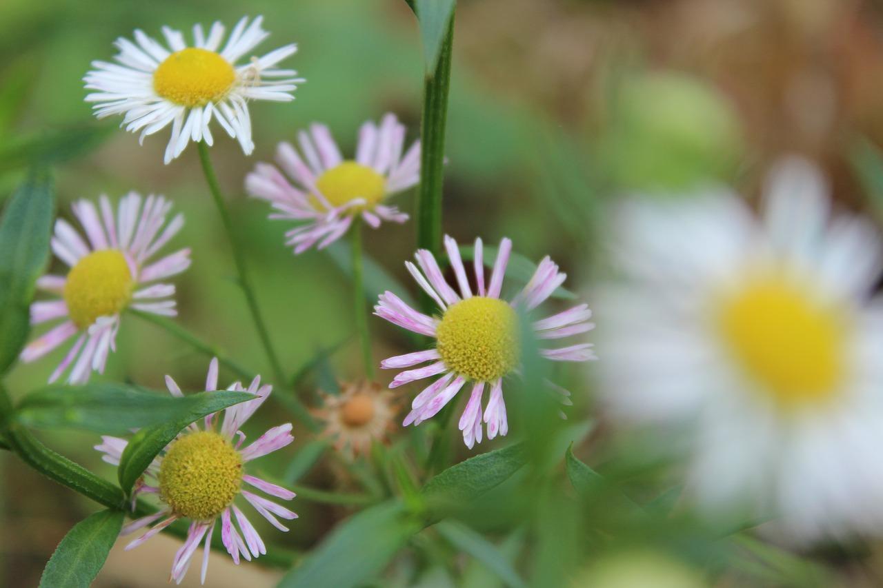 3. 教学质量揭秘
