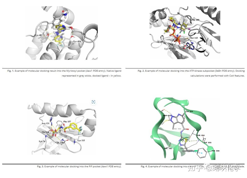 基于药物的设计——高质量分子库的重要性(17篇)Allosteric Kinase library - 知乎
