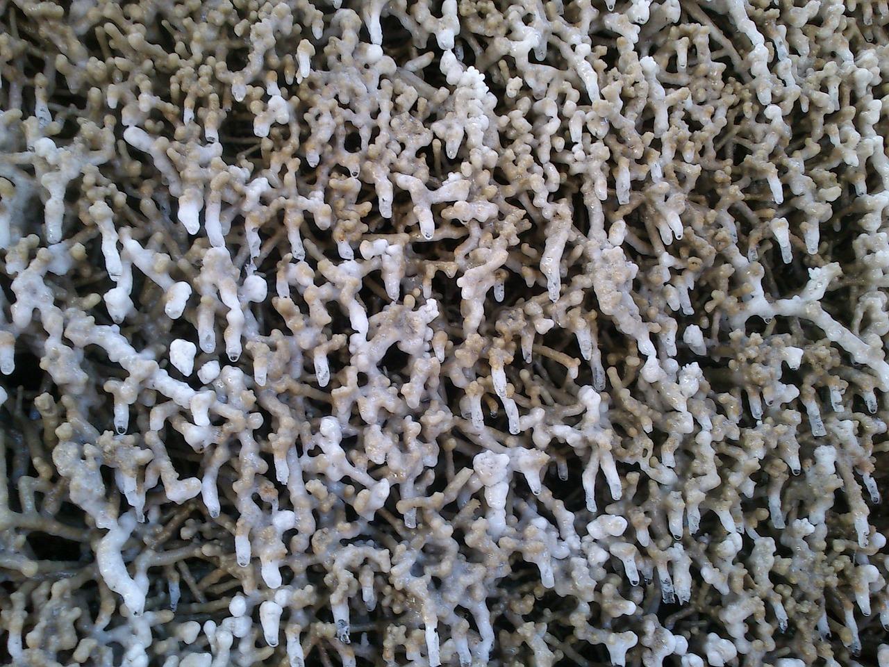 钟乳石平时如何保养