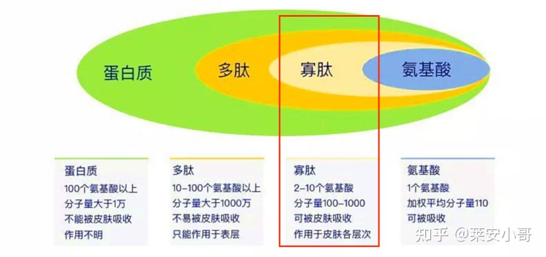 男士水乳选择指南_男士护肤品_油皮控油水乳推荐