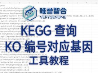 Ko Number 你知道如何查询KO编号对应基因吗? - 知乎