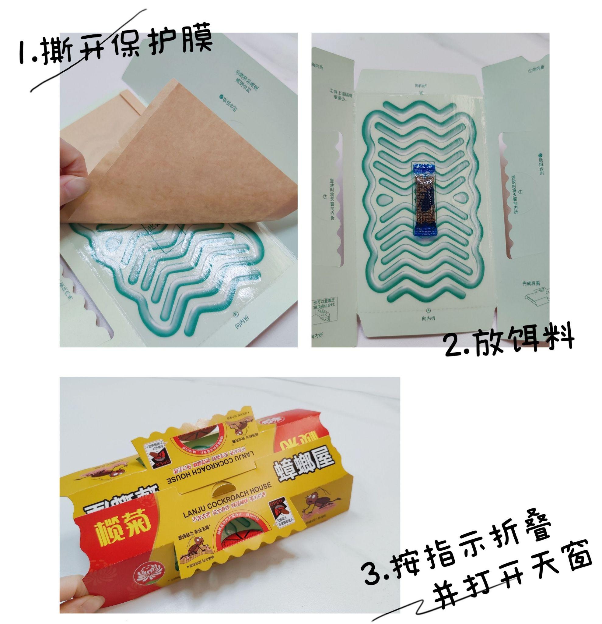 蟑螂屋最全说明书?如何让蟑螂心甘情愿被抓捕,看这一篇就够了