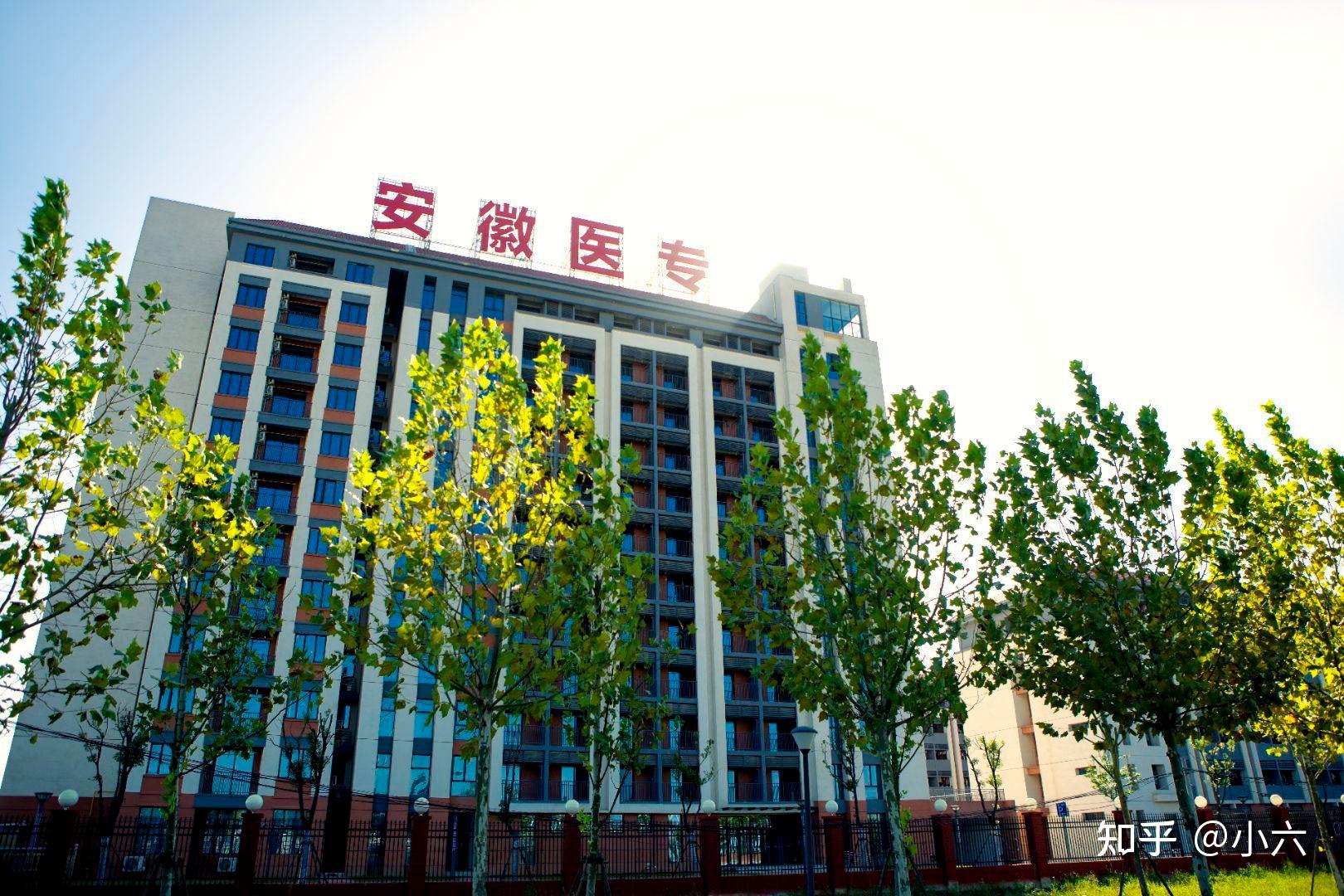 安徽医学高等专科学校怎么样? - 知乎