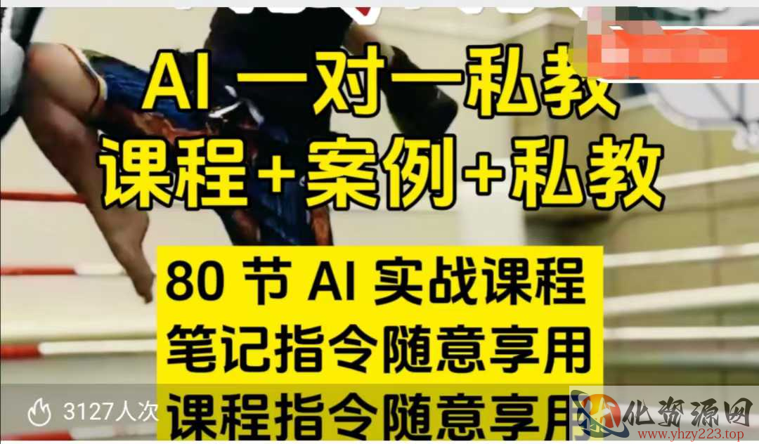AI指令实战课，课程+案例，80节AI实战课程，笔记指令随意享用，课程指令随意享用（更新7月）
