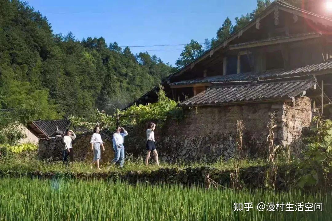 泰顺徐岙底:浙江未来乡村产业场景实践探索 - 知乎