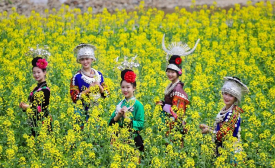 花开万里 满园春色 黔东南春季赏花指南 知乎 花开万里 满园春色 黔东南春季赏花指南 知乎