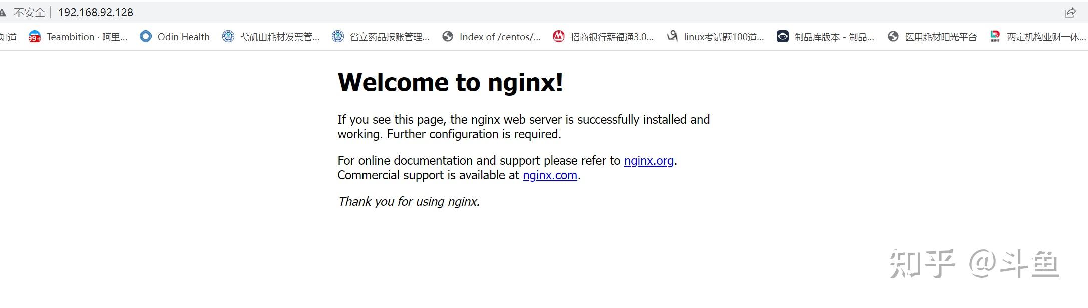 Nginx 