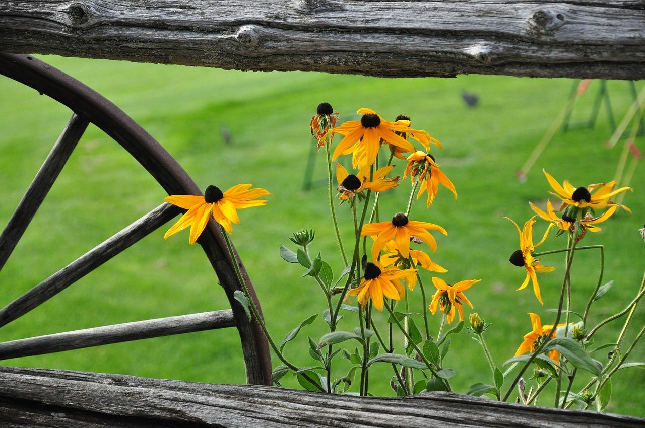 5. 补贴政策解读