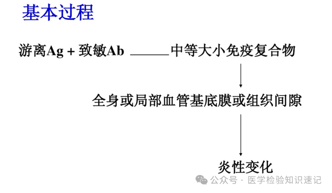 速记超敏反应---看完必得分 - 知乎