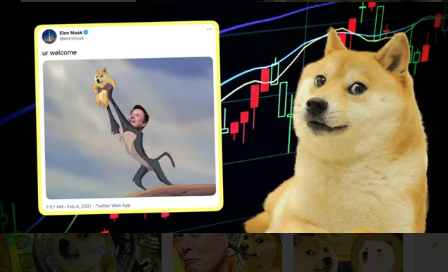 Doge的前世今生—史上最强的meme迎来新生! - 知乎