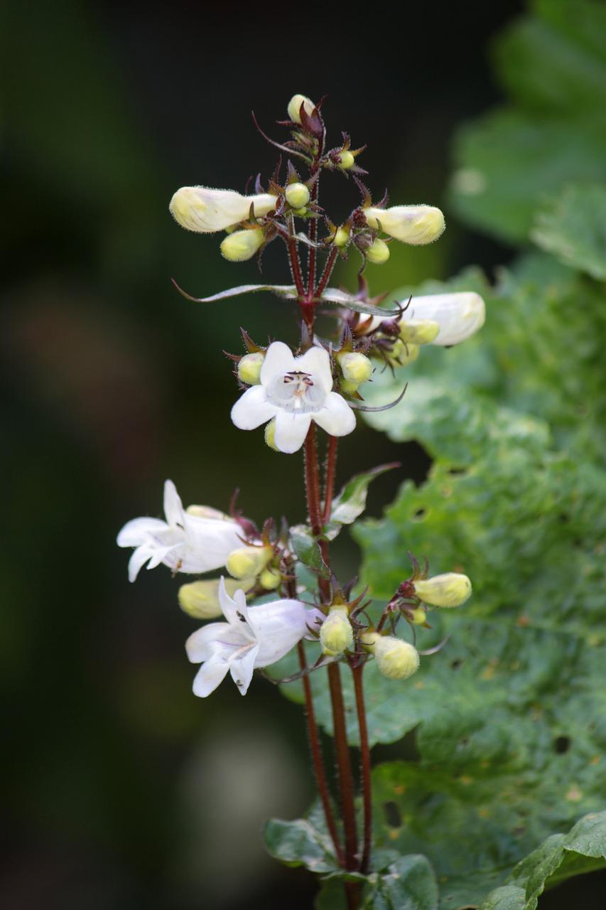 3. 配套设施一览