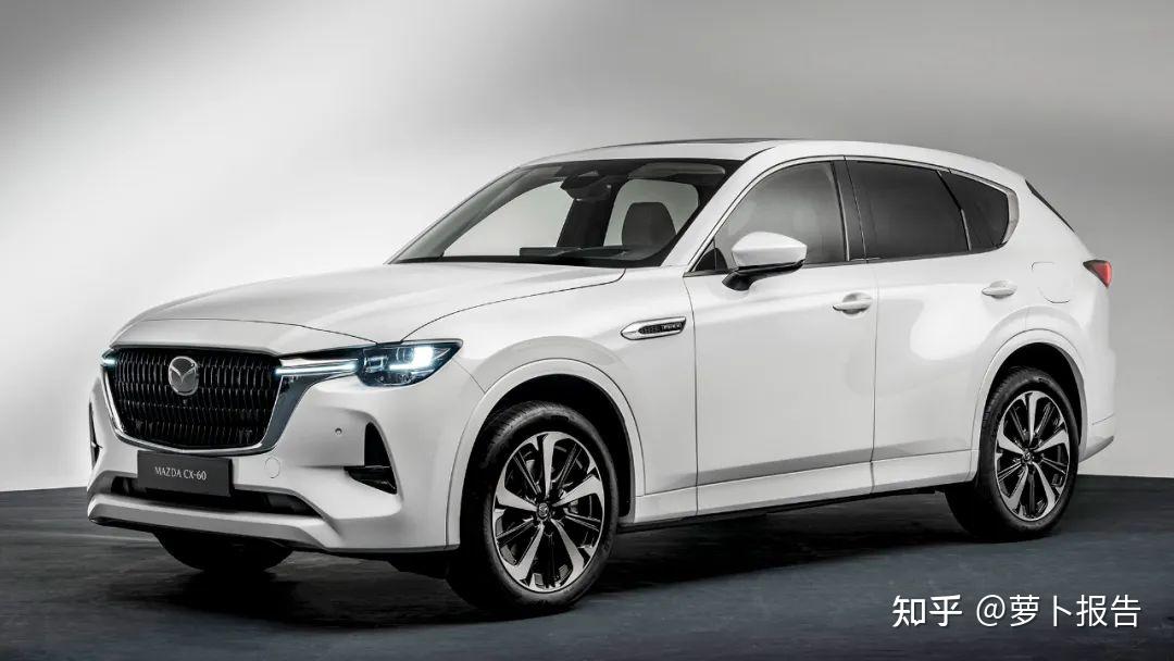 请问,2023年你们认为要买什么样的车比较好呢?